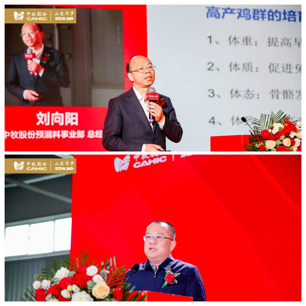 拼图 -博士-郯城县领导_副本.jpg