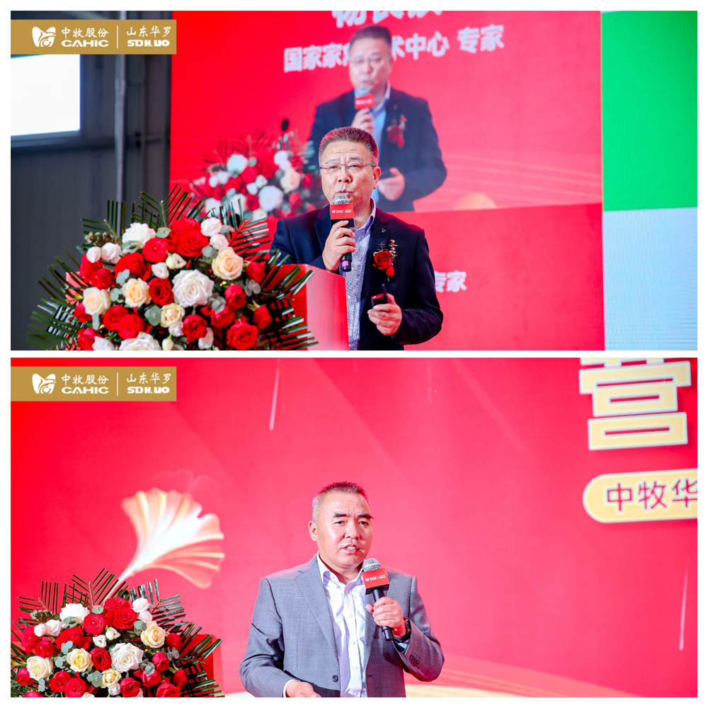 拼图  吕总-杨长锁老师_副本.jpg